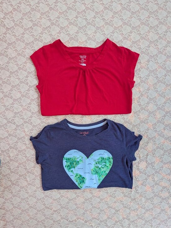 Cat & Jack Other - Lot of 2 kids tshirts VGUC size 10/12 L Cat & Jack French Toast